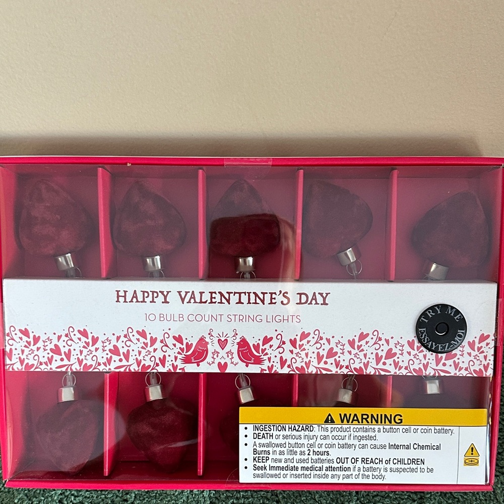 Valentine's Day Heart ♥️ String Lights Red Velvet Light Up NEW!